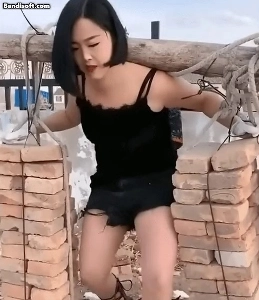 60個のレンガを持ち上げる姉妹