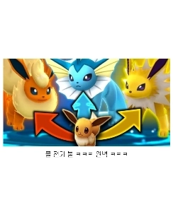 韓国の本物のイーブイの三つ子