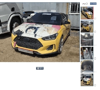 ）グルダン・カプール。本物