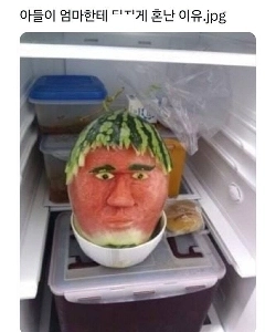 息子が母親を暗殺しようとした