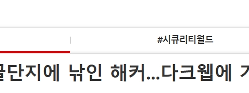 【独占】「SKシールダーズが24GBの内部データをハッキングし確保した」…新たなハッカー集団「ブラック・シュランタク」が主張