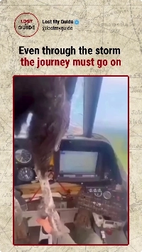 (SOUND)(悪化) バードストライク後のコックピットの眺め