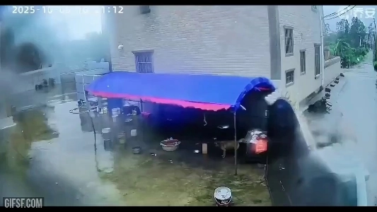 (SOUND)強風で犬が死にそうになった.mp4。