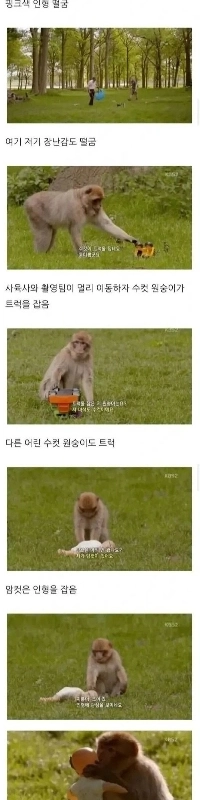 BBCの男女差実験