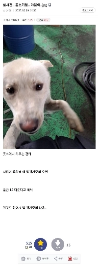 会社犬の世話のため休日出勤.jpg