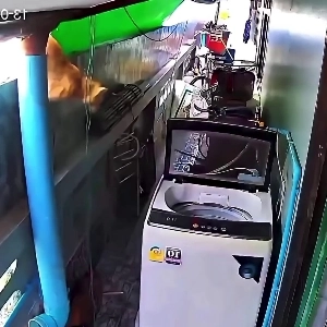 (SOUND)いったいどんな狂人が猫を洗濯機に閉じ込めたのでしょうか？