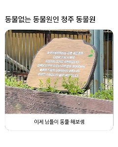 動物のいない動物園、清州動物園の現状