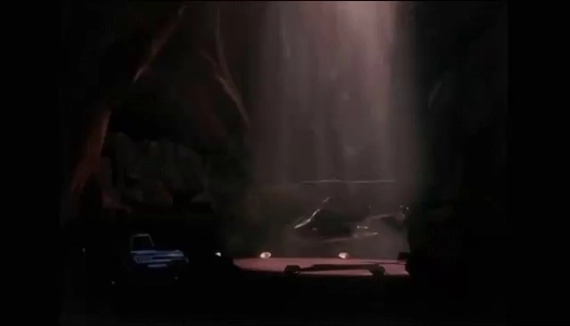 オイギャラーが自ら確保した外貨