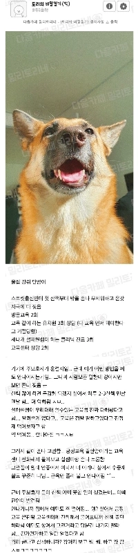 動物を好む内向的な傾向