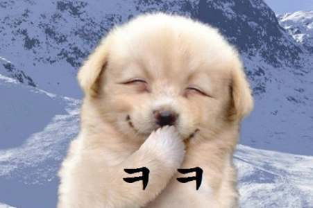 今回はiPhone17Proを購入しました。