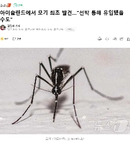 アイスランドで初めて蚊が発見された