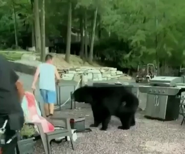 (SOUND)クマをしつけて追い出す男.mp4