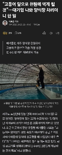 「これからはサバが1,000ウォンで食べられますよ。」