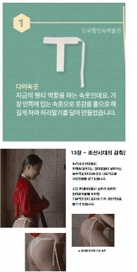 Colit コリット 朝鮮時代の女性下着.jpg