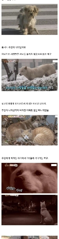 犬が捨てられた時の心理 漫画