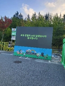 現在の金泉キンパ祭り