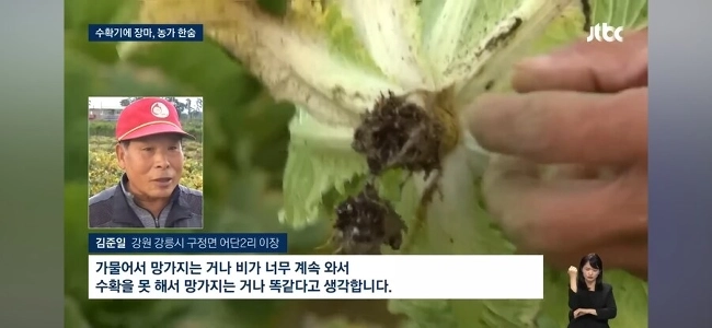 干ばつに苦しんだ江陵の現状