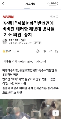 巨済犬BB射殺事件の現状