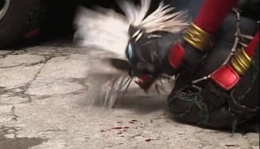 保護者なしで盲導犬が近づくとき