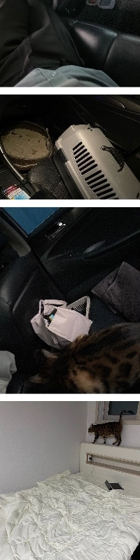 賃貸契約に騙されて1年間車に住み、12日に引っ越しました。