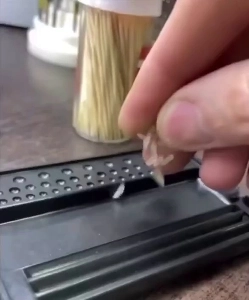 (SOUND)米粒から作られたゴジラ