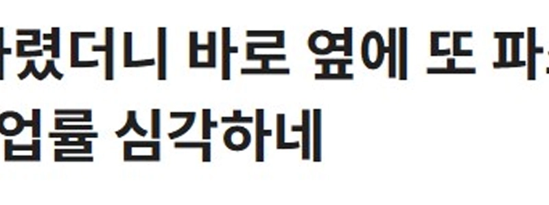 個人事業主の中でも特にパスタ店の純利益が高い理由