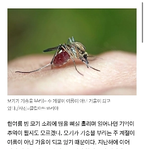 季節調整要素を真剣に変更する必要があると言われている昆虫