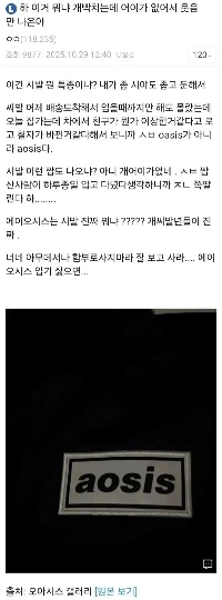 DCのバンドOasisの服購入の現状ㅋㅋㅋㅋㅋ