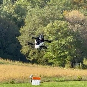 (SOUND)2億ウォンのおもちゃ