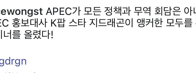 G-DRAGONのAPEC祝賀公演中と公演後の各国首脳の反応