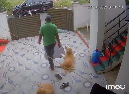 (SOUND)ゴルダンが交通事故に遭いましたㅜㅜ