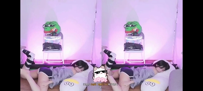 (SOUND)イルカの体操服を着たジャニーン「」「これは露骨すぎる」「」