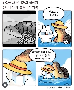 釜山水族館のアカウミガメ