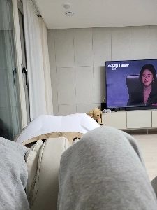 私のリビングルーム