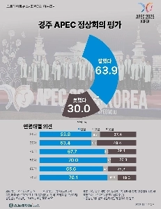 慶州APEC年齢別世論調査