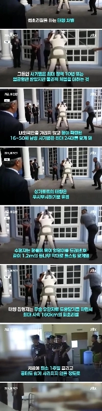 シンガポール、詐欺師への鞭打ちを義務化…フルスイングで尻を叩け