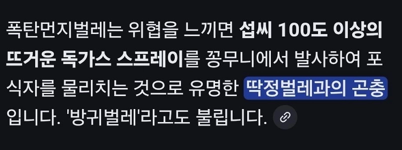 (SOUND)爆弾ダストバグ