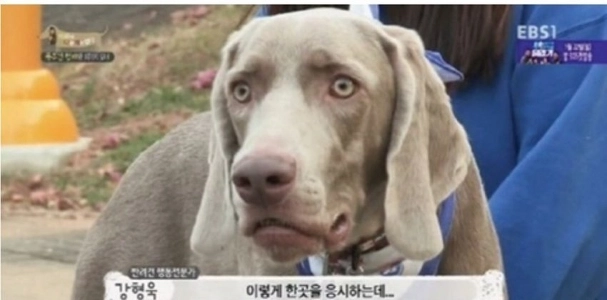 ヒョンスクの「あの表情」が出てきたときは怖かったです。