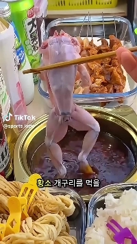 (SOUND)気持ち悪い）中国のカエルの神経反射調理