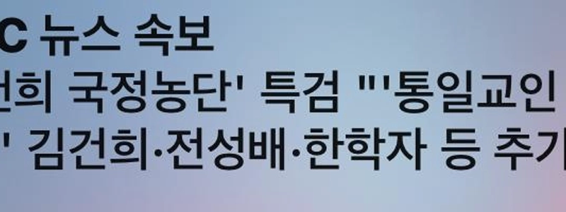 さらに大統領夫人に関わる事件も起きた。