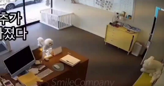 (SOUND)子犬を亡くしたペットショップのオーナー。