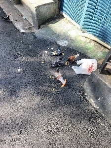 (カレー)ライス中毒