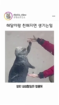 (SOUND)ラッコは飼育員と仲良くなる