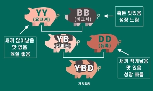 最近の豚バラ肉が平均価格より上位にランクされる理由を簡単に見てみましょう。jpg