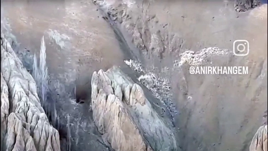 (SOUND)ヒマラヤユキヒョウマウンテンヤギ狩り