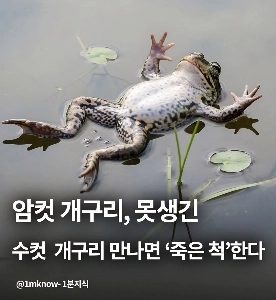 恋愛結婚市場の現状