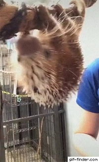 ノーブラだったら大変なことになっていたでしょう。