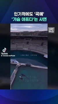 (SOUND)閉鎖されたフランスの水族館のシャチの現状