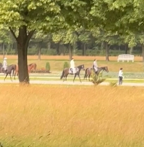 サプライズになるかうまくいくか意見が分かれるドラマ。