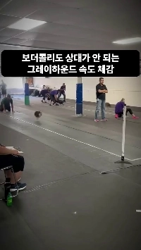 (SOUND)飼い主さんが出会ったボーダーコリー